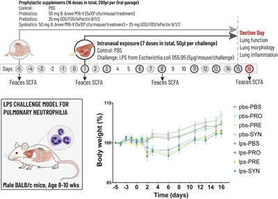 A synbiotic mixture of Bifidobacterium breve M16-V, oligosaccharides and pectin, enhances Short Chain Fatty Acid production and improves lung health in a preclinical model for pulmonary neutrophilia